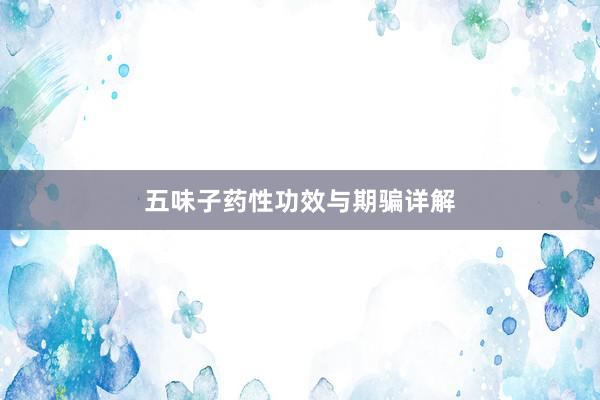 五味子药性功效与期骗详解